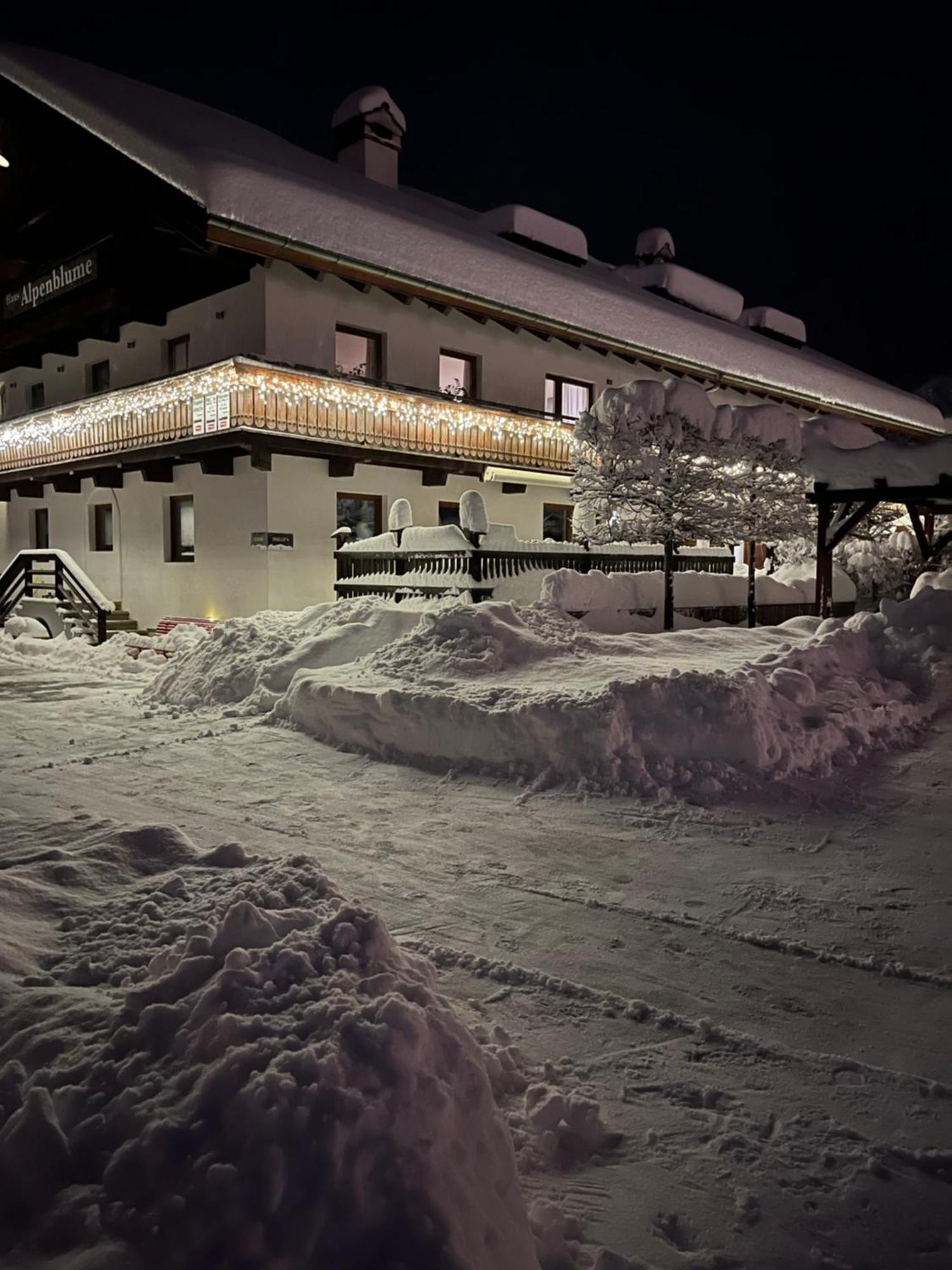 Appartement Haus Alpenblume à Ehrwald Extérieur photo